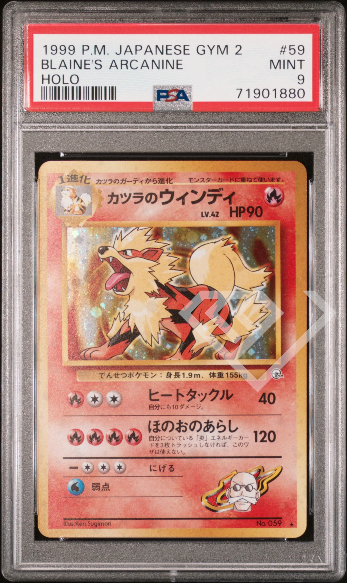 Blaine's arcanine 59 holo - gym challenge psa 9 japanese - grading supplies italia - official site Blaine's arcanine 59 holo - gym challenge psa 9 japanese