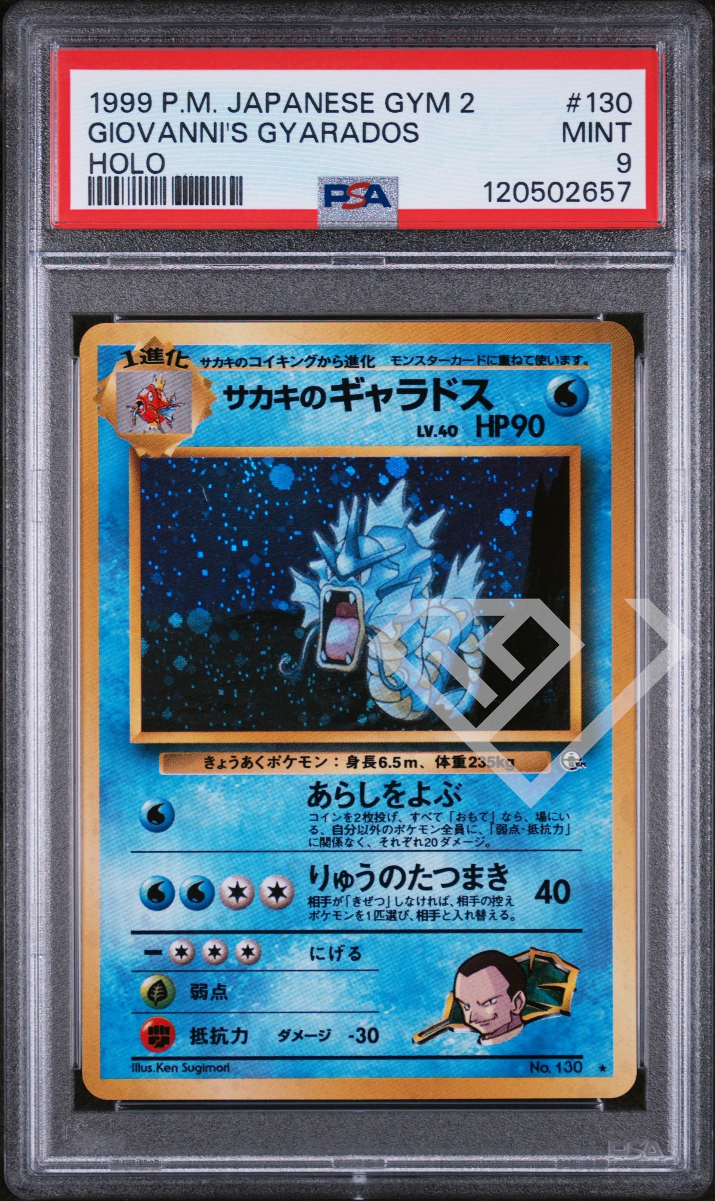 Giovanni's gyarados 130 holo - gym challenge psa 9 japanese - grading supplies italia - official site Giovanni's gyarados 130 holo - gym challenge psa 9 japanese